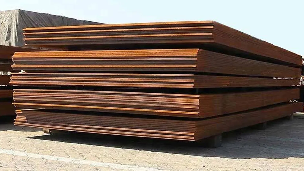 NM 600